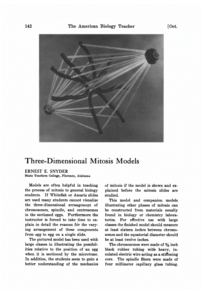 First page of Three-Dimensional Mitosis Models