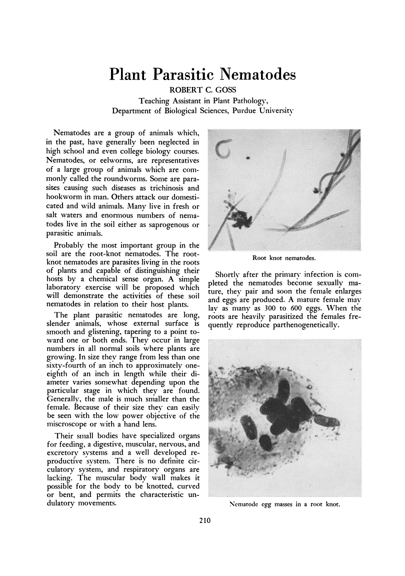 First page of Plant Parasitic Nematodes