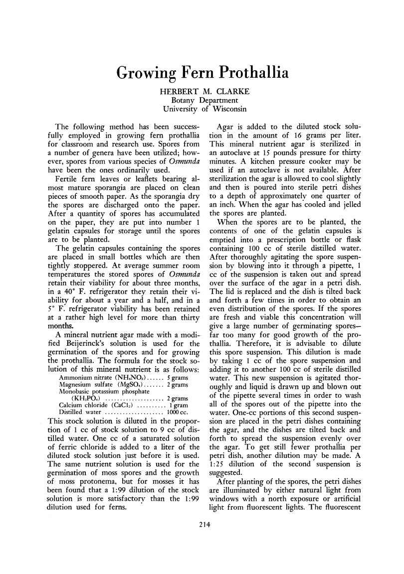 First page of Growing Fern Prothallia