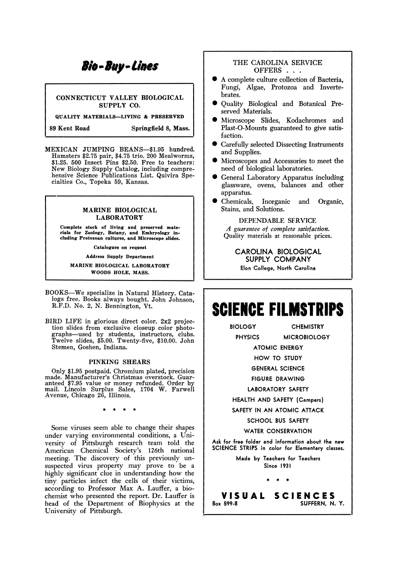 First page of Back Matter
