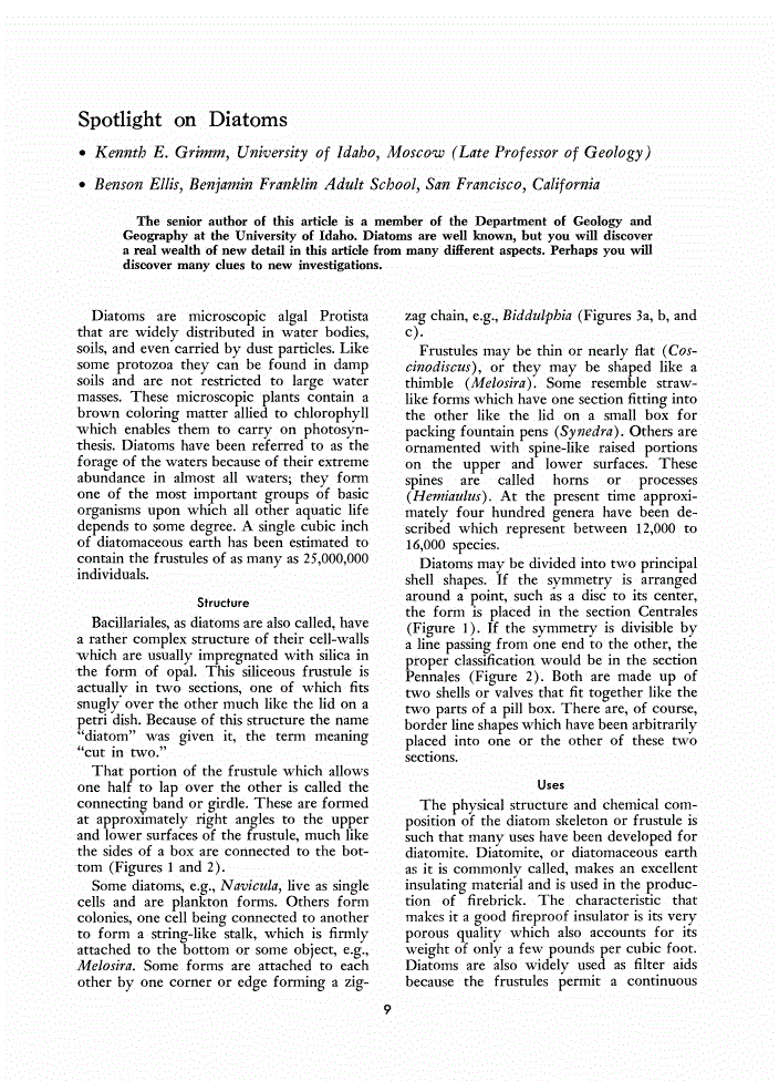 First page of Spotlight on Diatoms