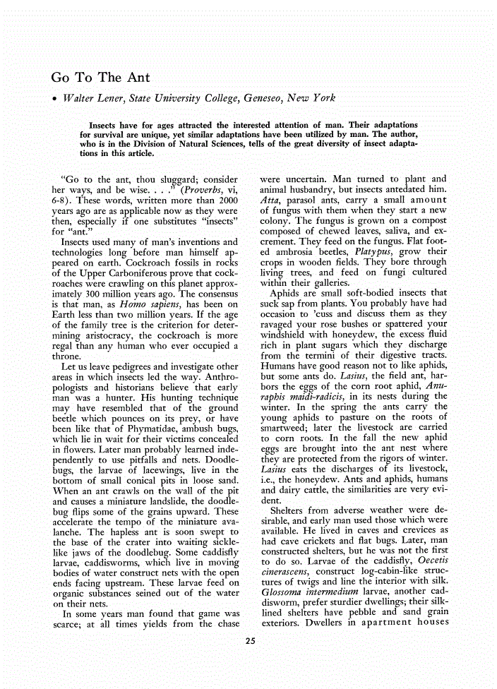 First page of Go to the Ant