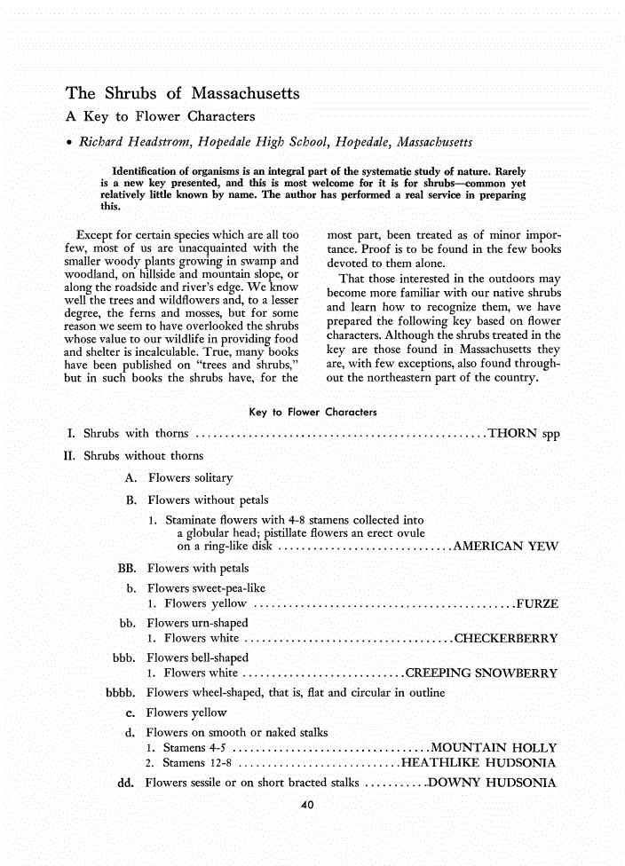 First page of The Shrubs of Massachusetts: A Key to Flower Characters