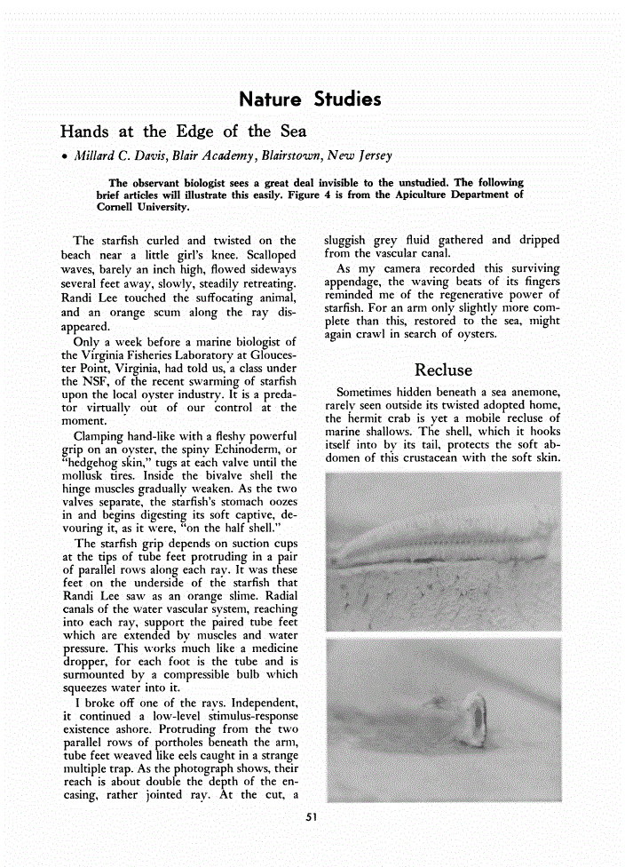 First page of Nature Studies: Hands at the Edge of the Sea