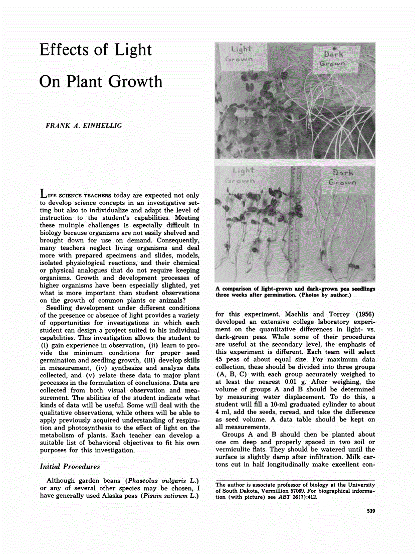 Article PDF first page preview