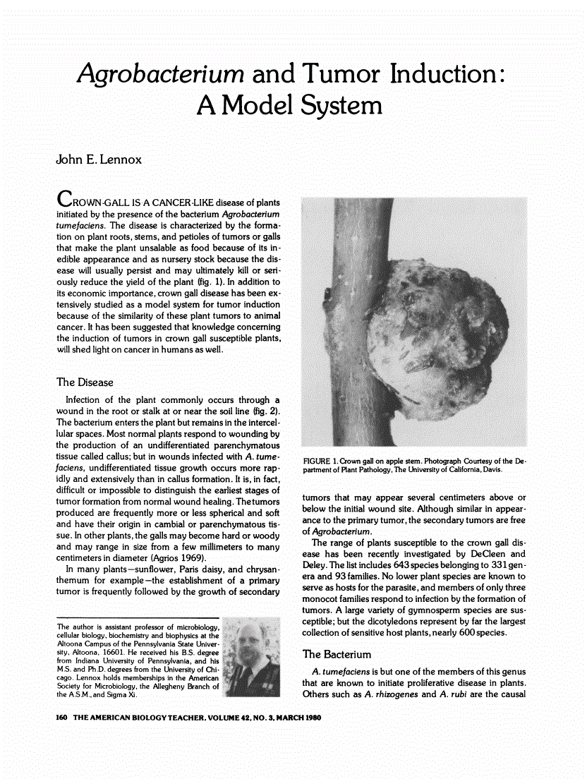 First page of Agrobacterium and Tumor Induction: A Model System
