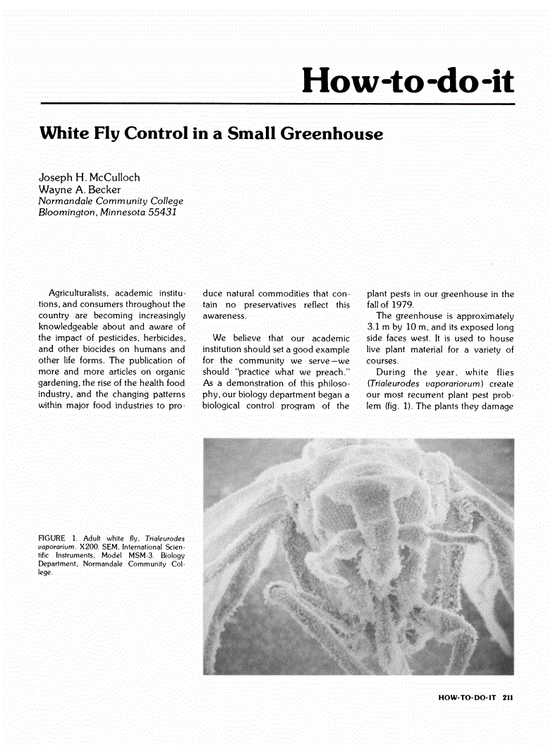 First page of White Fly Control in a Small Greenhouse