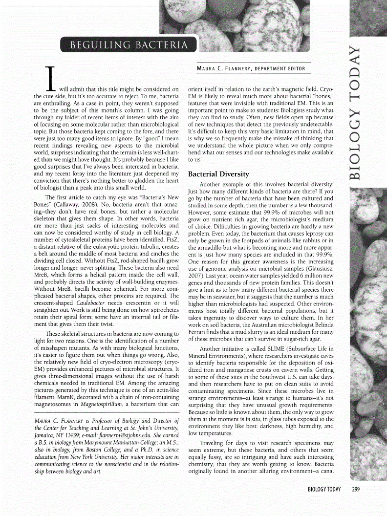 First page of Beguiling Bacteria