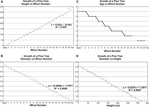 Figure 6. Charts for growth of a Virginia pine (Pinus virginiana). (A) Plot of height against whorl number. (B) Plot of diameter against whorl number. (C) Plot of number of rings against whorl number. (D) Plot of diameter against height.