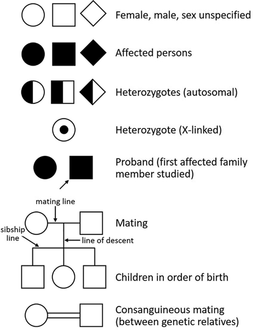 write an essay on pedigree analysis Standard symbols used in pedigree charts.
