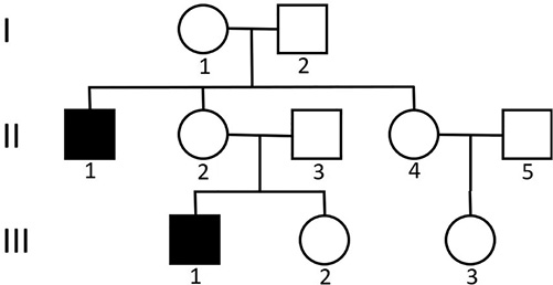 write an essay on pedigree analysis Pedigree showing the appearance of Duchenne muscular dystrophy, an X-linked recessive condition.