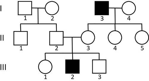 write an essay on pedigree analysis Davenport’s pedigree showing the appearance of criminality.
