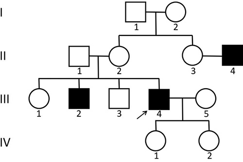 write an essay on pedigree analysis Davenport’s pedigree showing the appearance of “thalassophilia.”