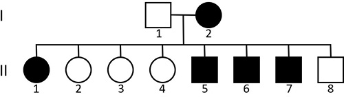 write an essay on pedigree analysis Davenport’s pedigree showing the appearance of “heart trouble.”