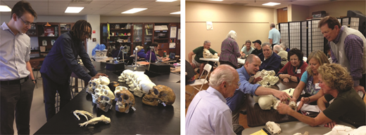 This lesson is engaging in a variety of settings, from science classrooms to retirement homes. Photos courtesy of Armin Moczek.
