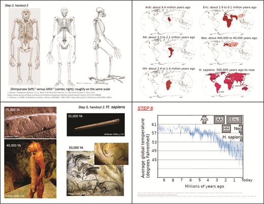 Sample binder pages from this lesson. The complete set is available in the supplemental materials accompanying the online version of this article.