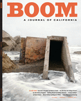 Boom Cover Image for Volume 1, Issue 2