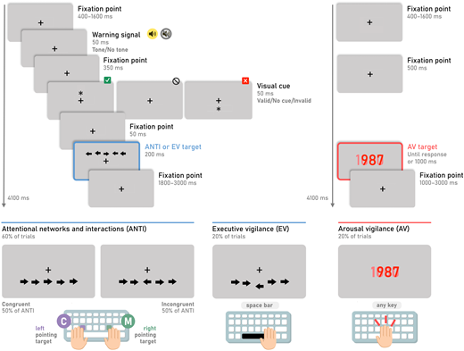 Note. Upper left: ANTI and EV trials share the same stimuli sequence and response target, namely the central arrow. For ANTI trials, the alerting network is assessed with an auditory warning signal presented in half of the trials, the orienting network via a visual cue that may appear at the same (valid) or opposite (invalid) location as the target with equal probability, and the executive control network via the congruency between the target and the flankers. Bottom left: ANTI and EV trials differ in their correct answer to the target. In ANTI trials, which constitute the bulk of the task, the participant must respond to the direction of the target by pressing the corresponding lateralized key, while in EV trials the participant must detect its infrequent vertical displacement by pressing the space bar. Right: Sequence and correct response for AV trials. A red millisecond-down counter appears for the participant to stop it by pressing any key as quickly as possible.