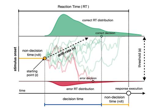 RT is the result of both non-decision and decision times. Decision time depends on the drift rate (v) and the decision threshold (a), while non-decision time includes the encoding process and the response output process. The evidence accumulation process starts at z, which is located halfway between the two boundaries. Green (correct) and red (errors) traces represent the random accumulation of evidence until a decision is made (i.e., until either the upper or the lower boundary is reached) and a response is triggered.