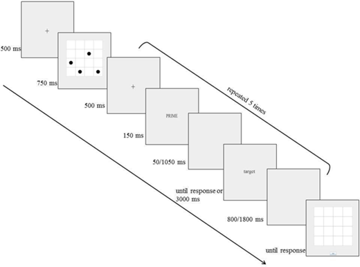 Figure 2. Flow of the experiment.