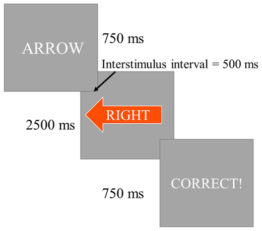 Figure 1. Schematic for one trial of Stroop-like task switching.