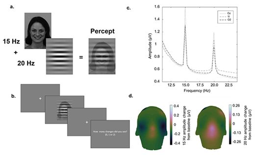 Figure 1. a. Stimuli from the change detection task. Target gabor patches and faces showing happy, angry, or neutral expressions were overlaid and flickered at 15 or 20 Hz for three seconds. The frequency of each stimulus type was counterbalanced in blocks within subject.b. An example of a trial. For each trial participants had to report whether there were 0, 1 or 2 phase reversals.c. Average Fast Fourier Transforms (FFT) for 3 electrodes with the highest signal to noise ratio (SNR) at the peak frequencies. d. Topographical plot showing 15 and 20 Hz amplitude change from baseline over early visual cortex, computed using the filter-Hilbert method.
