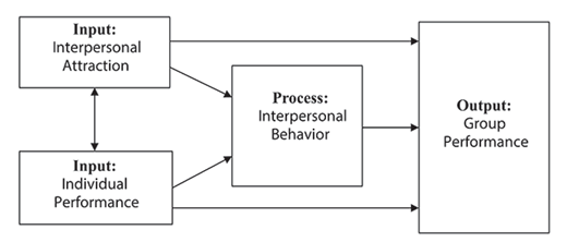 Figure 1. General overview of the investigated variables modeled according to the input-process-output model (Hackman, 1987; McGrath, 1964).