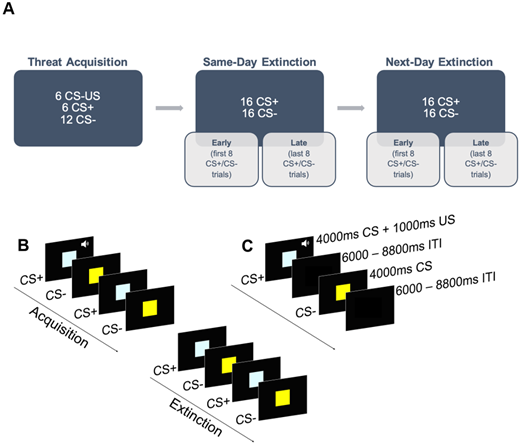 Note. CS+ = reinforced conditioned stimulus; CS- = unreinforced conditioned stimulus; US = unconditioned stimulus; ITI = inter-trial-interval. The US co-terminated with the CS+. SDE and NDE were identical in terms of procedure.