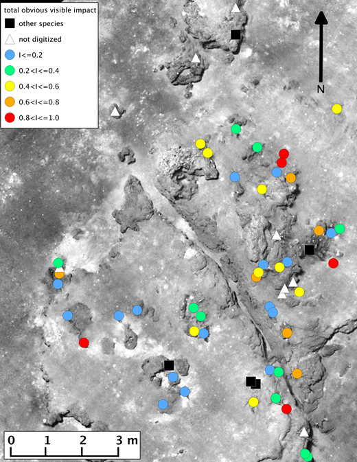 Figure 1. Down-looking mosaic of coral community studied at MC 294. . / Updated from White et al. (2012a). Fifty-seven individual coral colonies belonging to five species and three gorgonian stubs were identified through five visits from late 2010 to March 2012. Colored dots represent the total obvious visible impact (I) of corals in November 2010, including imputed values.