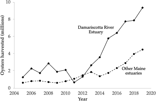 Cultured oyster harvest in Maine from 2005 to 2019. Cultured oyster harvest in Maine estuaries, divided into those from the Damariscotta River Estuary (black diamonds) and those from all other Maine estuaries combined (black circles). Data from Maine Department of Marine Resources, 2020. DOI: https://doi.org/10.1525/elementa.2020.00057.f1