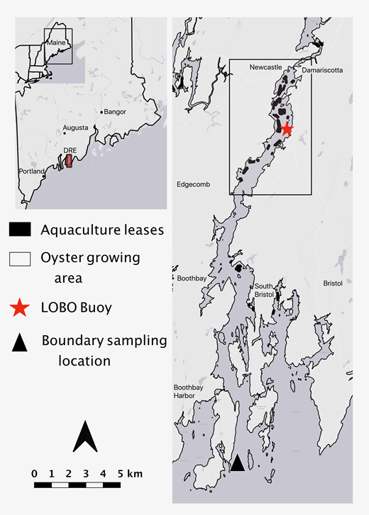 The Damariscotta River Estuary in Maine. The black box in the right-hand map represents the area treated as the growing area zone in the model. The Land-Ocean Biogeochemical Observatory (LOBO) buoy was deployed in the middle of the growing area for the entire growing season of 2018. TA, DIC, temperature, and practical salinity were measured at the LOBO buoy and mouth of the river where it meets the open Gulf of Maine. DOI: https://doi.org/10.1525/elementa.2020.00057.f2