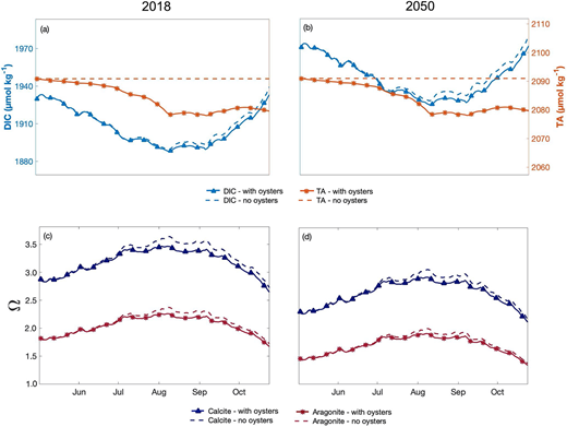 DIC, TA, ΩCA, and ΩAR modeled with 2018 and 2050 oceanic conditions. (a, b) DIC and TA, (c, d) ΩCA and ΩAR in the growing area modeled with the (a, c) 2018 and (b, d) 2050 oceanic conditions. An industry size of 16 million oysters (solid lines) and zero oysters (dashed lines) were modeled for both oceanic conditions, all with a residence time of 13 days. DOI: https://doi.org/10.1525/elementa.2020.00057.f5