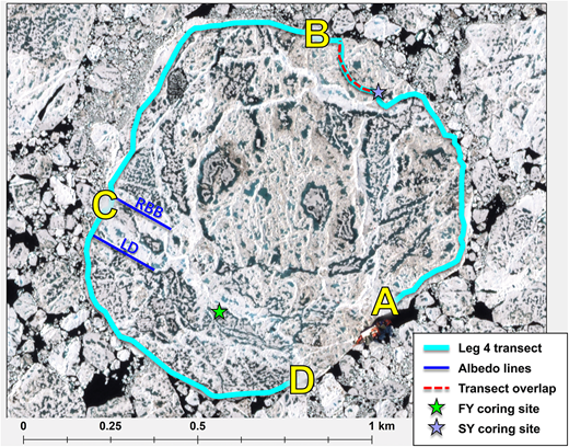 The transect route on Central Observatory 2 (June–July). The yellow letters mark points of relevance: (A) starting point, (B) waypoint called Picnic Ridge, (C) albedo lines (dark blue) called Root Beer Barrel (RBB) and Lemon Drop (LD), and (D) ending point. Transect overlap (dashed red line) refers to the Northern Transect Loop of CO1. The route from A to B covered second-year (SY) ice, while C to D covered mostly first-year (FY) ice. Background image: July 22, 2020, multispectral image from Planet Labs, Inc. A corresponding satellite scene is not available for Central Observatory 3 due to its high latitude location. DOI: https://doi.org/10.1525/elementa.2021.000072.f2