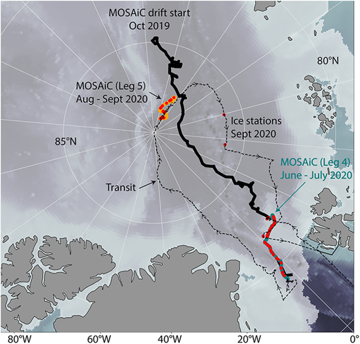Geographic locations of transect measurements during the summer melt and autumn freeze-up seasons. Melt season measurements were made on Central Observatory 2 during MOSAiC Leg 4 (June–July 2020); freeze-up season measurements, on CO3 during Leg 5 (August–September 2020). The light grey shading is sea-ice extent derived from passive microwave satellite data for June 16, 2020. The red dots indicate locations where transect measurements were made. Ice station measurements were carried out in transit into (June 13, 2020) and out of (September 2020) the ice pack. DOI: https://doi.org/10.1525/elementa.2021.000072.f3