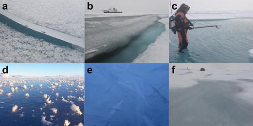 Ephemeral weather events that altered the surface conditions during the autumn season. (a) A melting snow cover and thin pond lids present at the beginning of Central Observatory 3 in mid-August. The pond lid shown was about 2 cm in thickness. (b) Wind speed and direction affected the formation of ice lids over melt ponds, (c) most pond lids had melted away by late August, (d) freezing temperatures and calm conditions in early September allowed frost flowers to form on pond lids and frozen leads, and (e) platelet ice crystals were present in ponds with thaw holes and cracks. The platelet crystals were about 1–3 cm in length. (f) In mid-September during above-freezing temperatures and heavy rainfall, the snow cover on refrozen melt ponds became saturated, turned into slush, and, in many cases, melted away. The tent (approximately 3.5 m × 3.5 m × 2.0 m) in the background provides scale. DOI: https://doi.org/10.1525/elementa.2021.000072.f11