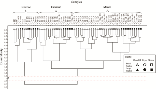 Hierarchical cluster analysis performed on the Bray-Curtis indices of rDNA samples. The 3 main clusters correspond to each habitat: riverine, estuarine, and marine. Note that the estuarine and marine samples also clustered by transect and size fraction, where open symbols indicate the small fraction (assumed free-living bacteria) and solid black symbols, the large fraction (assumed attached bacteria). DOI: https://doi.org/10.1525/elementa.2021.00009.f2