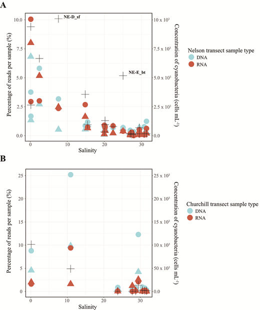 Distribution of cyanobacteria from river-to-sea transects. Percentage of cyanobacterial reads and flow cytometry (FCM) data for pycocyanin-rich cyanobacteria (plus symbols), in relation to salinity along the (A) Nelson and (B) Churchill transects. Circles indicate percentage of reads in the large size fraction; triangles, in the small size fraction. DOI: https://doi.org/10.1525/elementa.2021.00009.f5