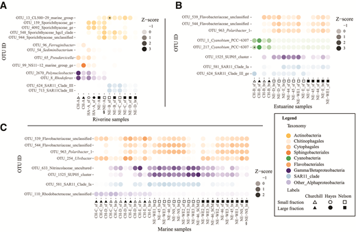 Abundant bacterial OTUs in the Churchill, Hayes, and Nelson river systems. The OTUs listed for the (A) riverine, (B) estuarine, and (C) marine samples are those having 1% of reads and a Z-score >0. Z-score values, based on the deviation from average of the OTU in the samples, are shown as circles with different opacity levels. The samples are arranged following the hierarchical cluster analysis based on the Bray-Curtis indices from the rDNA samples. OTUs not found in a given sample rRNA library are indicated by an asterisk in the circle (Z-score > 0). Samples without a corresponding rRNA sample are indicated by the “§” symbol next to their designations: NE-A in (A) and NE-NS bt in (C). Along the x-axis of the 3 figures, small size fraction samples are indicated by open symbols; large size fraction samples by solid black symbols. OTU = operational taxonomic units. DOI: https://doi.org/10.1525/elementa.2021.00009.f6