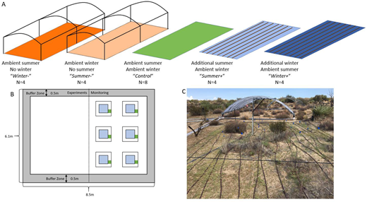 Experimental layout of the Pinyon Flats precipitation experiment. A) 24 (51.85 m2) plots were established with the following precipitation treatments arranged along an aridity gradient: Winter- received ambient summer precipitation and had a roof during winter to exclude all winter rainfall; Summer- received ambient winter precipitation and had a roof during summer to exclude all summer rainfall; Control received both ambient summer and ambient winter and had no manipulations; Summer+ received ambient winter precipitation and had water added during the summer; Winter+ received ambient summer precipitation and had water added during the winter. Treatment color codes are preserved throughout our figures. B) Each plot contained six 1 m2 plots (black outlined squares) in which the center 0.5 m2 was sampled for annual plant species composition (light blue squares) and a 25 cm2 subplot was harvested for biomass (green squares). The location of the biomass sampling rotated each season. C) A photo of a water addition plot and a rainfall exclusion plot. DOI: https://doi.org/10.1525/elementa.2021.00014.f1