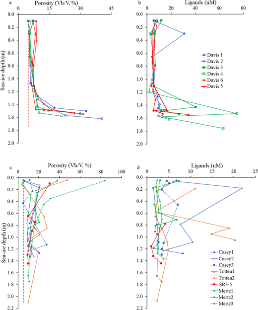 Sea-ice vertical profiles of porosity and ligand concentration. Top row shows depth profiles of (a) porosity, as brine volume percentage (Vb/V, %), and (b) concentration of ligands (CL, nM) for sea-ice samples collected at Davis; bottom row shows (c) porosity and (d) CL for sea-ice samples collected during V2. Vertical dashed red lines in (a) and (c) represent the 5% sea-ice porosity threshold.