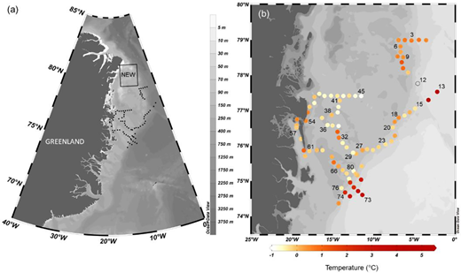 Sampling locations and sea surface temperature in the Greenland Sea in August–September 2017. (a) Bathymetric map showing the study area in the Greenland Sea, the location of the Northeast Water Polynya (NEW) and station location (black dots). (b) Stations with CTD sampling indicated by circles with color representing the average temperature over 0–30 m water depth. Stations with ichthyoplankton sampling are indicated by their numbers. The open circle indicates no temperature data. DOI: https://doi.org/10.1525/elementa.2021.00038.f1