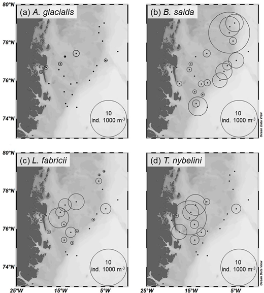 Distribution maps of age-0 fish in the Greenland Sea in August–September 2017. Densities of (a) Arctogadus glacialis, (b) Boreogadus saida, (c) Liparis fabricii, and (d) Triglops nybelini. Sampling stations indicated by dots. DOI: https://doi.org/10.1525/elementa.2021.00038.f3