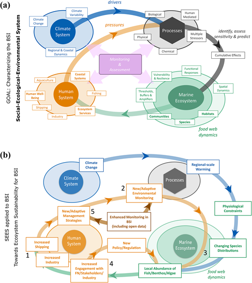 Application of the social–ecological–environmental system framework in Baie des Sept Îles. Diagrams represent (a) key components of the BSI SEES and (b) how this framework can be used to consider planned/potential changes in human use of the BSI system. For example: following an increase in shipping (1), if environmental monitoring (2) detects changes in ecosystem indicators (3), stakeholders could develop or update environmental policies (4), posing the foundation of adaptive management over time (5). DOI: https://doi.org/10.1525/elementa.2021.00061.f5
