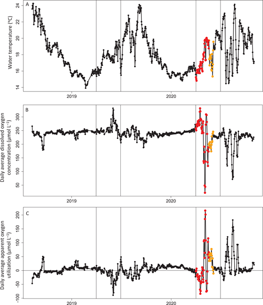 Time series of water temperature, dissolved oxygen, and apparent oxygen utilization. Time series of (A) daily average water temperature, (B) daily average dissolved oxygen concentration, and (C) daily average apparent oxygen utilization from August 9, 2018, through October 31, 2020. All data were collected from the Ellen Browning Scripps Pier in San Diego, CA (32.8663° N, 117.2546° W). Points represent sample days, with the bloom period denoted in red (from the beginning of April through May 18, 2020), and the post-bloom period denoted in orange (from May 19, 2020, through June 4, 2020). Vertical lines indicate April 1 and June 30.