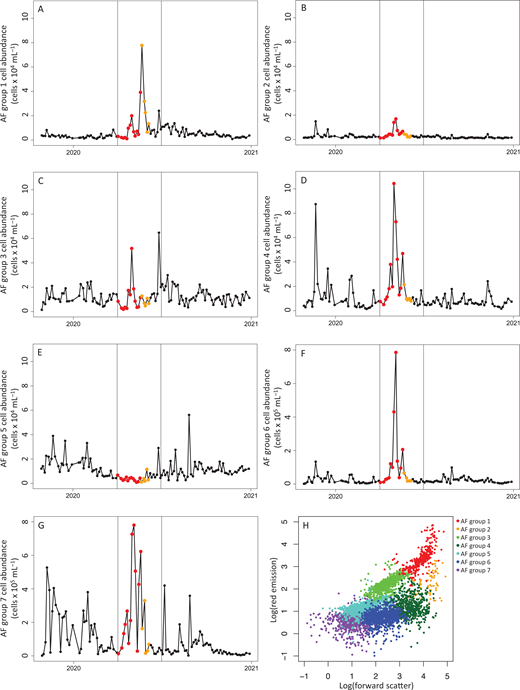 Time series and chlorophyll a florescence of autofluorescent groups. Time series of (A–G) different autofluorescent (AF) populations (AF groups 1–7) from October 28, 2019, through December 28, 2020; and (H) a forward scatter vs chlorophyll a fluorescence plot of the different AF populations for combined data from July 20 and December 28, 2020. All data were collected from the Ellen Browning Scripps Pier in San Diego, CA (32.8663° N, 117.2546° W). For the time series, points represent sample days, with the bloom period denoted in red (from the beginning of April through May 18, 2020), and the post-bloom period denoted in orange (from May 19, 2020, through June 4, 2020). Vertical lines indicate April 1 and June 30.