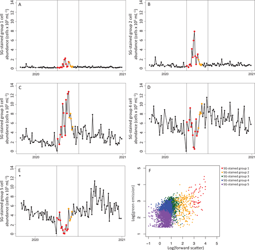 Time series and SYBR Green I fluorescence of SG-stained groups. Time series of (A–E) different SYBR Green I (SG)-stained populations from October 28, 2019, through December 28, 2020; and (F) a forward scatter vs SG fluorescence plot of the different SG-stained populations for combined data from July 20 and December 28, 2020. All data were collected from the Ellen Browning Scripps Pier in San Diego, CA (32.8663° N, 117.2546° W). For the time series, points represent sample days, with the bloom period denoted in red (from the beginning of April through May 18, 2020), and the post-bloom period denoted in orange (from May 19 through June 4, 2020). Vertical lines indicate April 1 and June 30.
