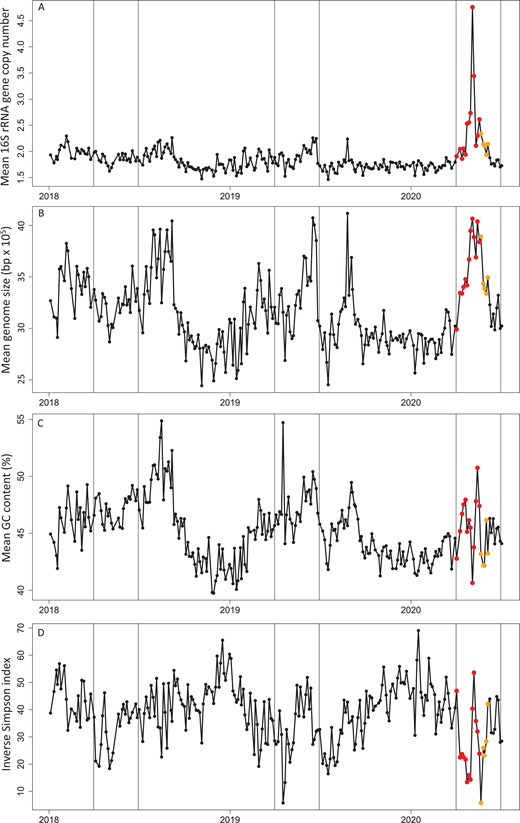 Time series of 16S rRNA gene copy number, genome size, GC content, and diversity. Time series of (A) mean 16S rRNA gene copy number, (B) mean genome size, (C) mean GC content, and (D) inverse Simpson index from January 4, 2018, through July 2, 2020, collected from the Ellen Browning Scripps Pier in San Diego, CA (32.8663° N, 117.2546° W). Points represent sample days, with the bloom period denoted in red (from the beginning of April through May 18, 2020), and the post-bloom period denoted in orange (from May 19, 2020 through June 4, 2020). Vertical lines indicate April 1 and June 30.