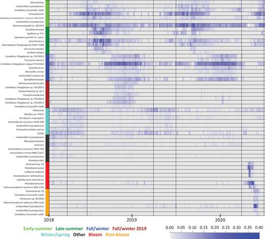 Heatmap time series of most abundant ASVs in each of the microbial subnetworks. Heatmap time series showing the Hellinger-transformed relative abundances of the top 7 amplicon sequence variants (ASVs) for each of the 8 subnetworks that were identified with weighted gene correlation network analysis, with the lowest possible taxonomic identification listed for each ASV. The 8 subnetworks are color-coded on the left axis (top to bottom): early-summer (light green), late-summer (dark green), fall/winter (blue), fall/winter 2019 (brown), winter/spring (light blue), other (black), bloom (red), and post-bloom (orange). The blue scale bar indicates the Hellinger-transformed relative abundance value. The 16S rRNA sequences and the other subnetwork members can be found in Table S1. Module membership values for displayed ASVs ranged from 0.66 to 0.96, with higher values indicating ASVs had similar abundance profiles to their subnetwork.