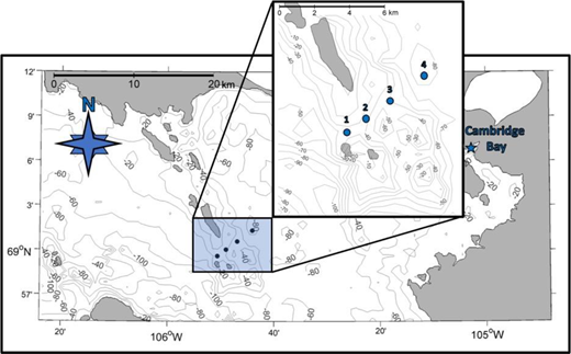 Map of sampling stations. Field site locations amid the Finlayson Islands, near Cambridge Bay, Nunavut, Canada. Sites 1 (68° 59.600′N, 105° 50.590′W) through 4 (69° 01.320′N, 105° 44.040′W), located along a 6-km transect, are denoted with blue dots; see magnified inset for greater detail. Bathymetry is in meters.