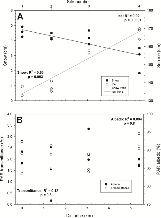 Pertinent physical conditions along the horizontal transect. (A) Snow depth (y = 4.73 − 0.31x), sea-ice thickness (y = 133.9 + 6.4x), and (B) percent PAR transmittance and albedo observed across sites 1–4 during the study. Lines in (A) show significant linear trends.